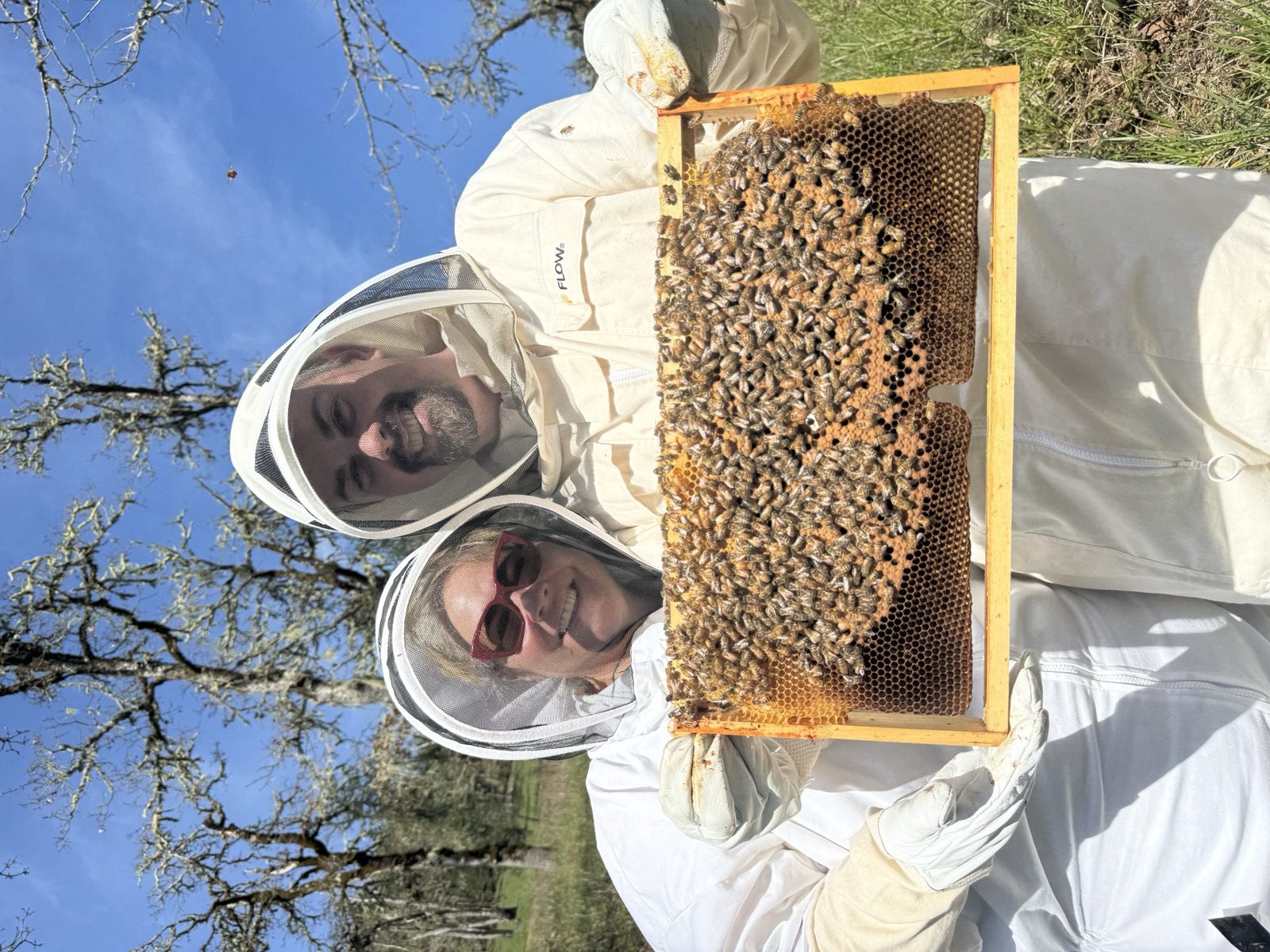 Two beekeepers smiling with a frame of bees