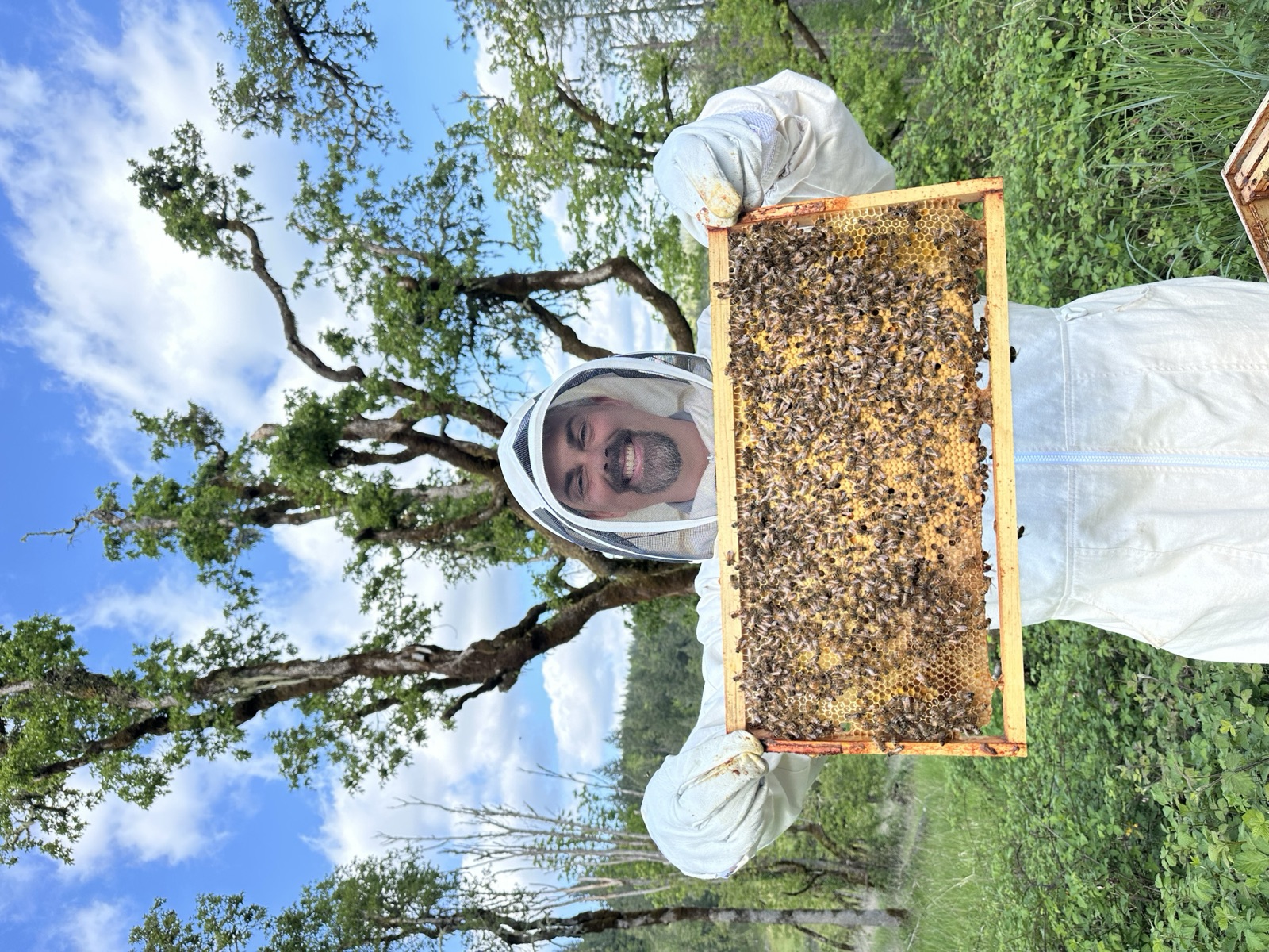A beekeeper holding a frame of bees against a blue sky